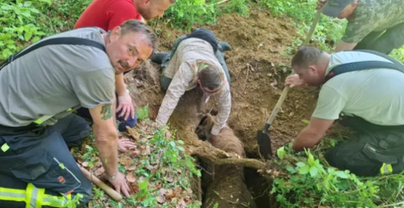 Drama u Hrvatskoj: Kobila i vlasnik upali u jamu